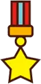 Winner medal
