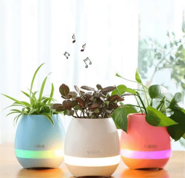 Product thumbnail 2