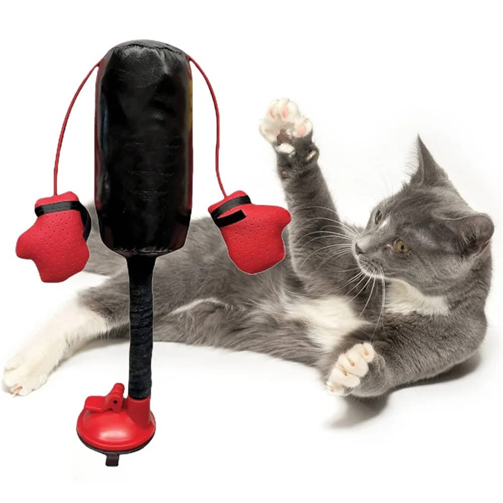 Product thumbnail 3