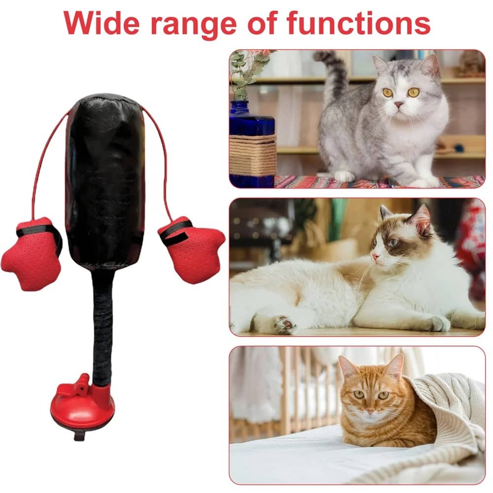 Product thumbnail 4