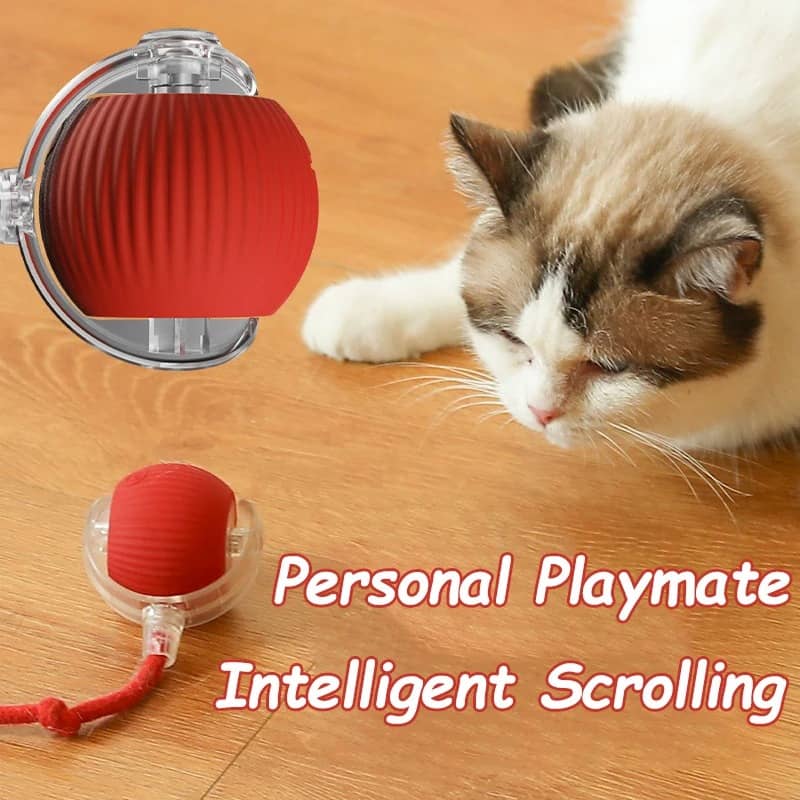 Product thumbnail 3