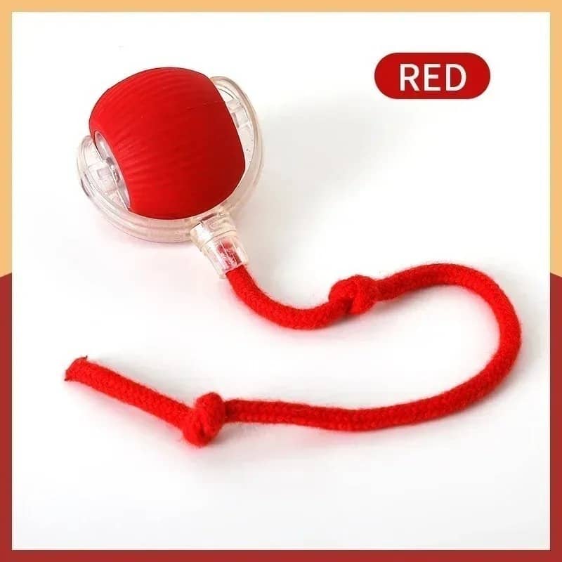 Product thumbnail 5