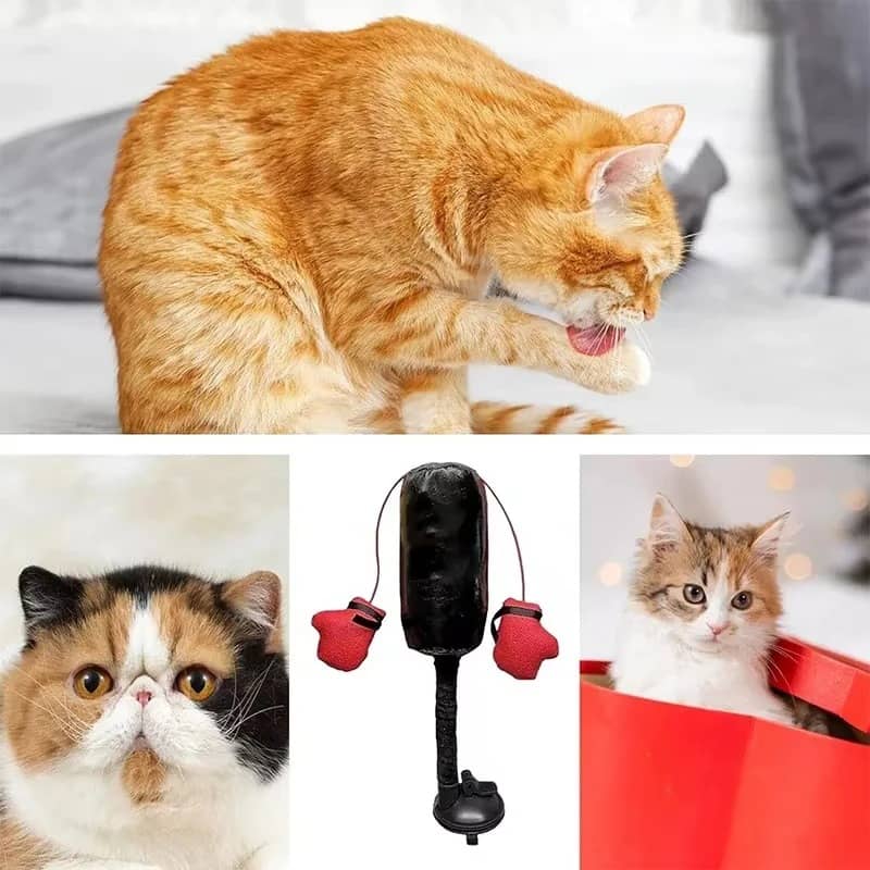 Product thumbnail 5