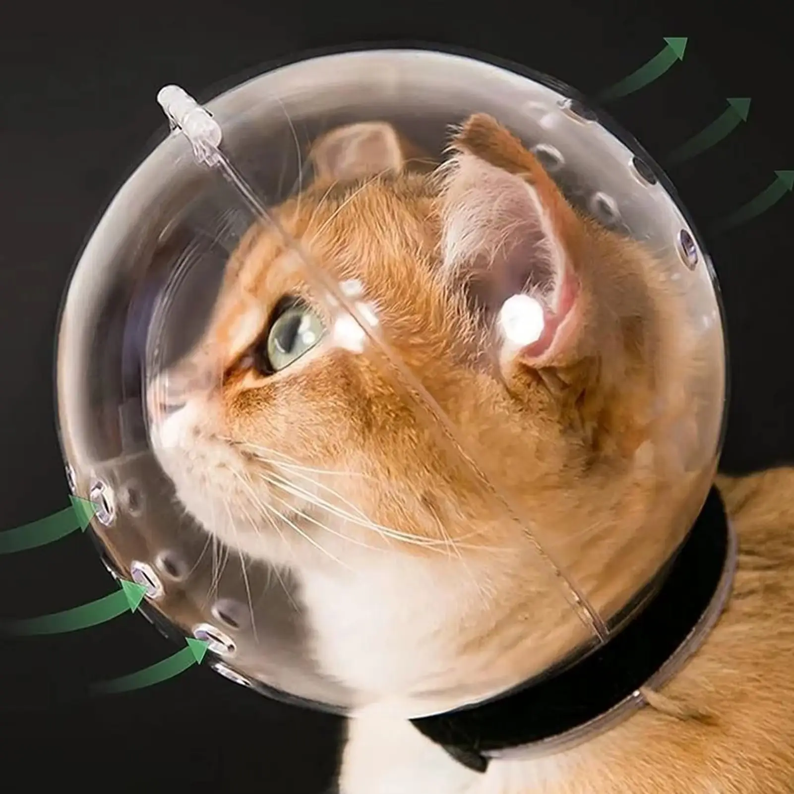 ClearCalm Cat Grooming Bubble